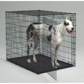 Midwest Pets Dog Crates
