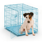 iCrate Fashion Edition Dog Crate
