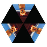 Yorkshire Terrier Umbrella