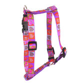 Crazy Hearts Roman Harness