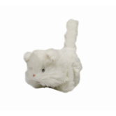 Adapted Cat