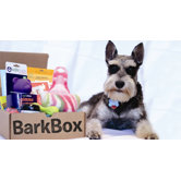 BarkBox