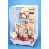 Medium White Bird Starter Kit