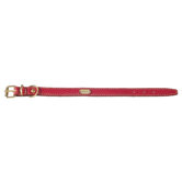 Fashion Flat Leather Dog Collar in Red