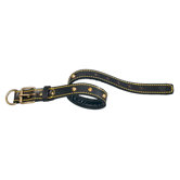 Classic Padded Leather Dog Collar with Studs