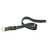Classic Padded Leather Dog Collar