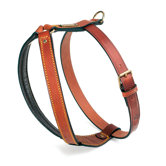 Classic Pitbull Leather Dog Harness