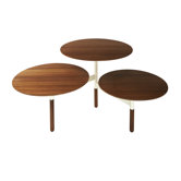 Lily Pad Coffee Table