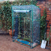 Tomato Greenhouse