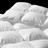 Santa Barbara Canadian White Goose Down Duvet