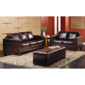 Felix Leather Living Room Collection