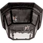 Garden Outdoor Flush Mount in Oriental Bronze