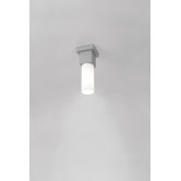 Dupla Outdoor Ceiling Light