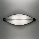 Mitasi Indoor/Outdoor Wall and Ceiling Light