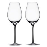 Difference Fruit Wine Glass (Set of 2)