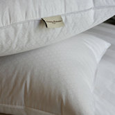 Down Jumbo Pillow (Set of 2)