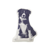 MINI Border Collie Pillow