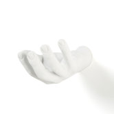 Grab Hand Hook