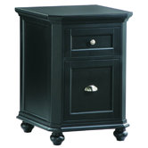 8891 Series Two Drawer Cabinet