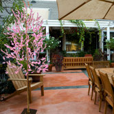 7.5' LED Parkview Elm Tree