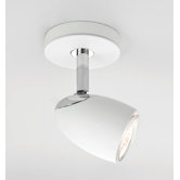 Ovale Ceiling Spot Light
