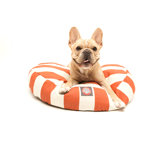 Vertical Strip Round Pet Bed
