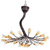 Evolution 20 Light Chandelier