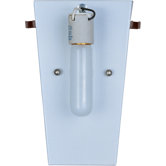 Carte 1-Light Wall Sconce