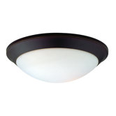 Rainier 2 Light Flush Mount