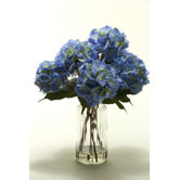 Hydrangeas in Tall Glass Vase