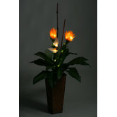 Lighted Ginger and Calla Arrangement in Tall Square Metal Planter