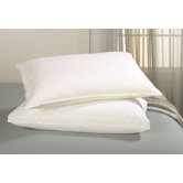 Synergy Gusseted Compartmented Pillow