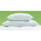 Millennium Pillow