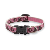 Lupine Pet Dog & Cat Collars