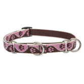 Tickled Pink 3/4" Adjustable Medium Dog Combo Collar