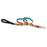 Crazy Daisy 3/4" Medium Dog Leash
