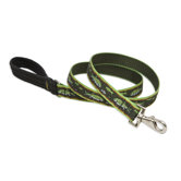 Brook Trout 1" Large Dog Leash