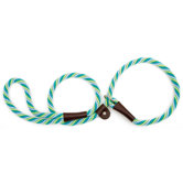 Twist Slip Leash in Seafoam