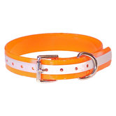 DuraFlect Standard Collar in Orange