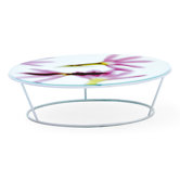 Around the Roses Coffee Table