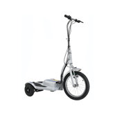 TRX Personal Transporter 300 Watt Electric Scooter
