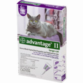 Cat Flea Treatment 4-pack