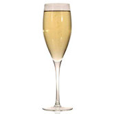 Classics 8.13 oz. Champagne Glass (Set of 4)