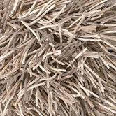 Cyrah Cream Rug