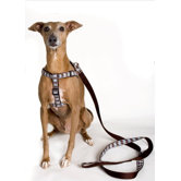 Joker Dog Harness