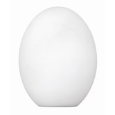Glass Shade in White