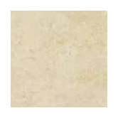 Costa D'Avorio 13" x 13" Floor Tile in Beige