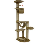 All Cat Trees