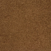 Legato Embrace Carpet Tile in First Cup