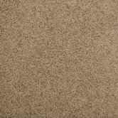 Legato Touch Carpet Tile in Tradewinds